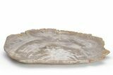 Tropical Hardwood Petrified Wood Dish - Indonesia #210596-2